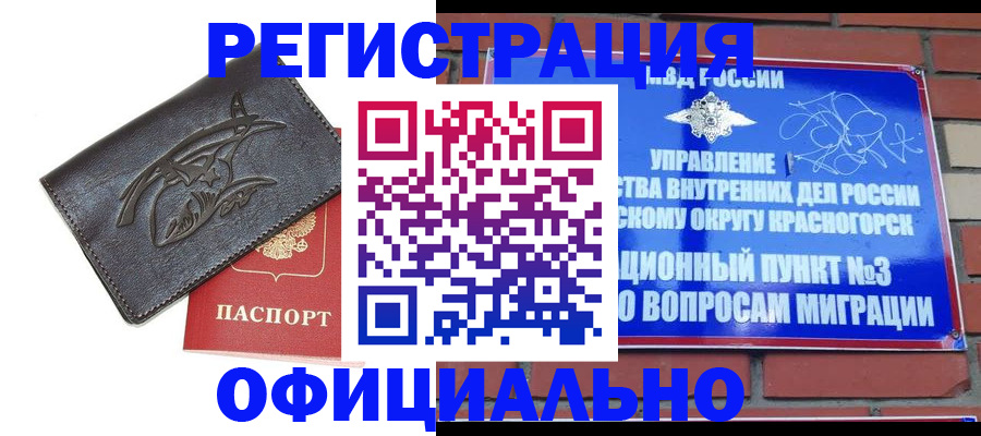 временная регистрация надежно в Грозном